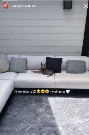 Kylie Jenner celebrates twelve years with her faithful companion