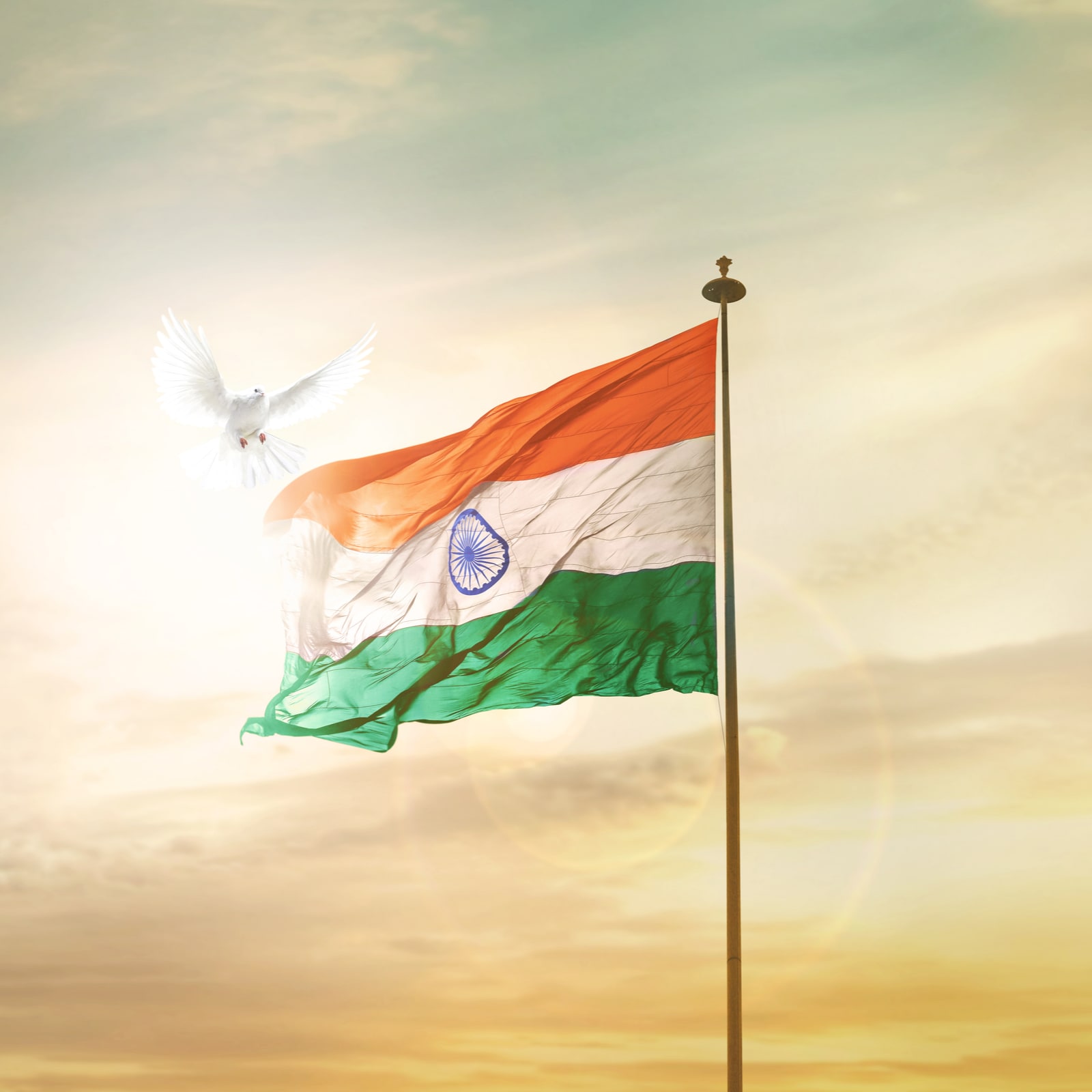 August 15, 2025 Google Doodle is a tribute to India’s unity, artistry, and the spirit of freedom. As India celebrates its 79th Independence Day today, here’s a look at Google Doodles featured on August 15 over the past decade: (Image: Shutterstock)