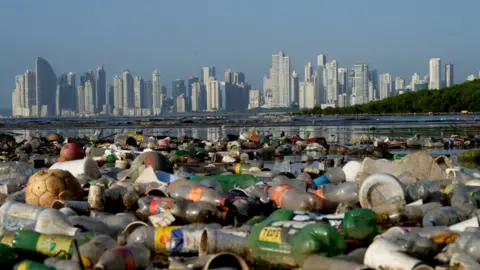 Reuters Plastic polluting a mangrove area lies in Panama Bay, Panama City - in the foreground are many plastic bottles and other bits of plastic waste, with the water of the mangroves visible behind them, and the skyline of Panama City then visible in the distance, setting up an interesting contrast