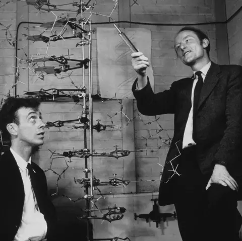 Science Photo Library James Watson and Francis Crick look at a scientific model