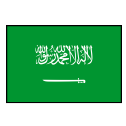 Saudi Arabia logo